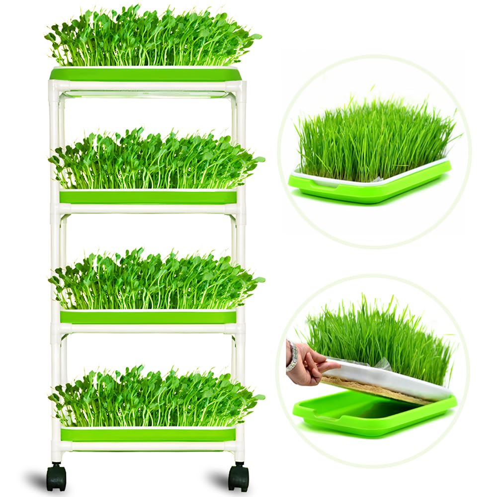 LeJoy Garden 4-layer sprout trays assembled for compact kitchen sprouting in small spaces.