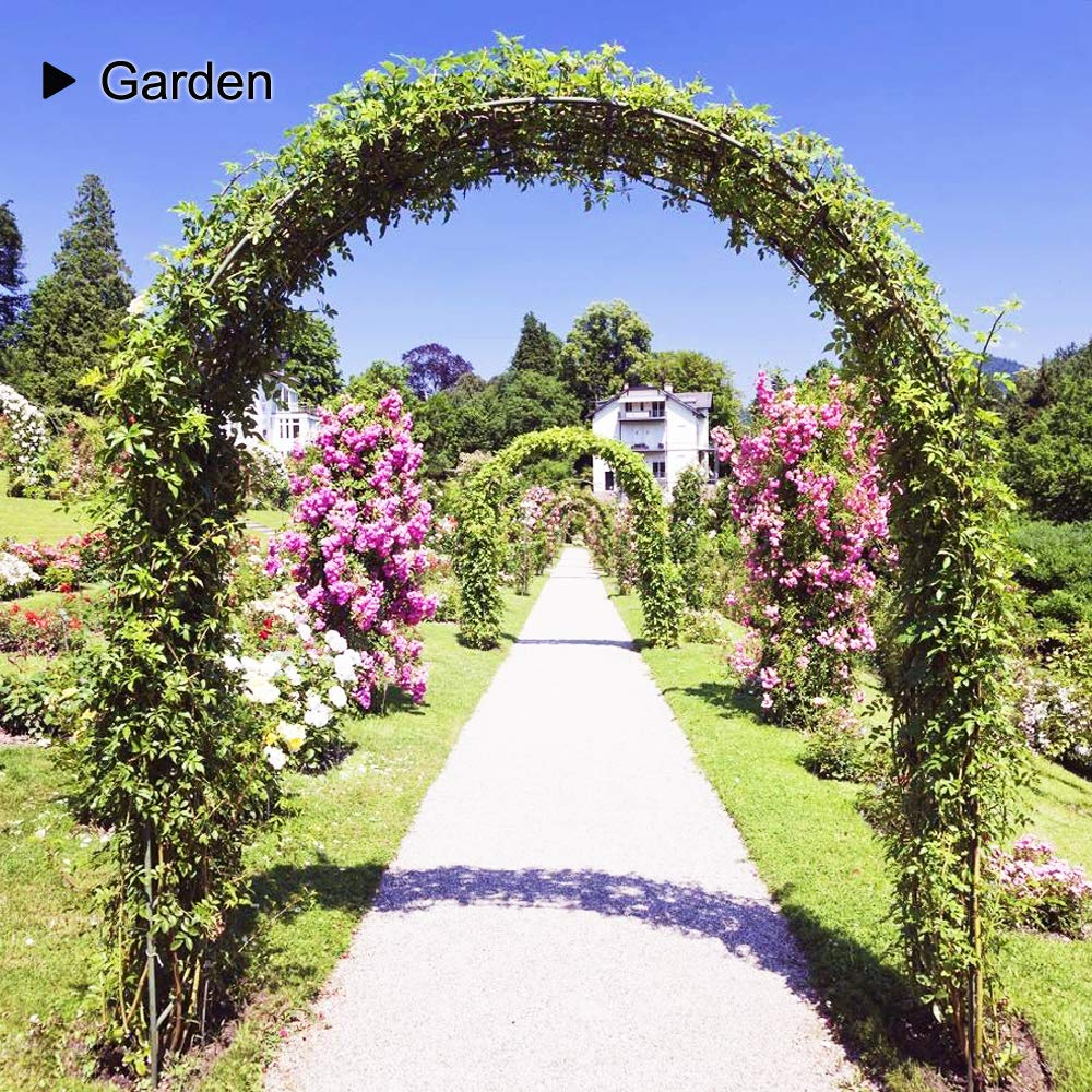 LeJoy Garden arch dimensions 7.8ft by 5.5ft framing an entry path.