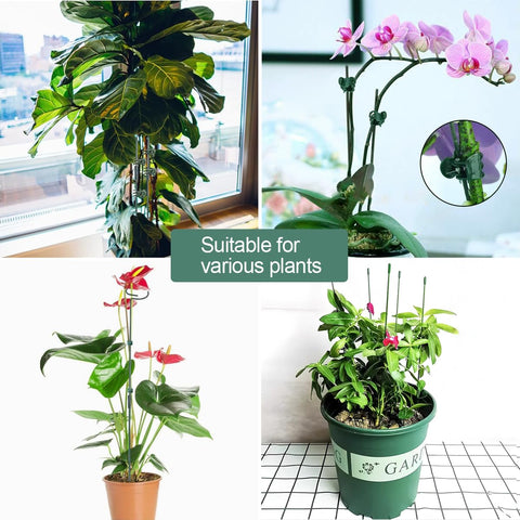LeJoy Garden clip attachment system for quick plant shaping.