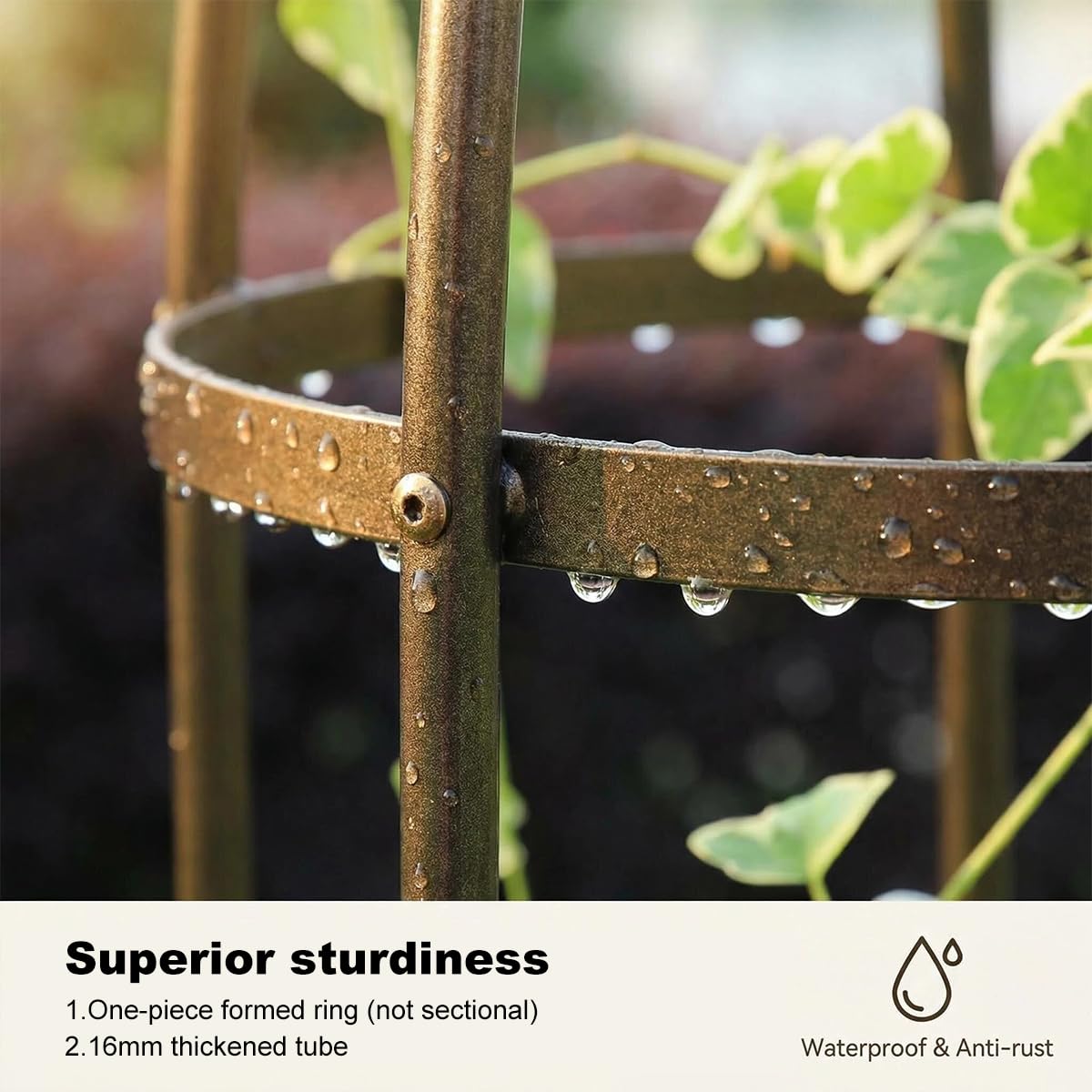 LeJoy Garden compact footprint trellis fits small patios and raised beds.