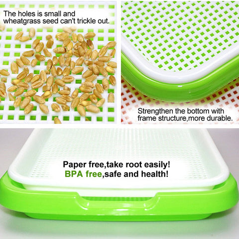 LeJoy Garden extra-strength shelf connectors provide sturdy support for sprouts.