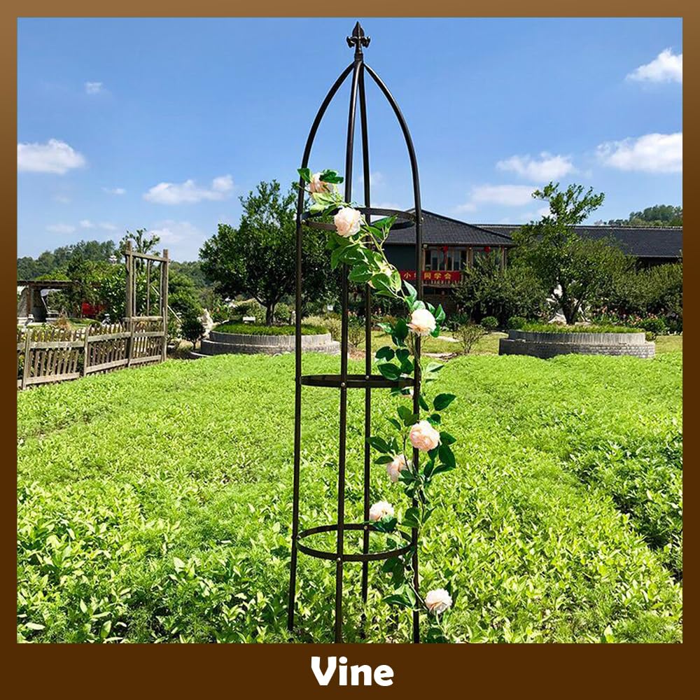 LeJoy Garden ground-stake setup anchors the trellis firmly.