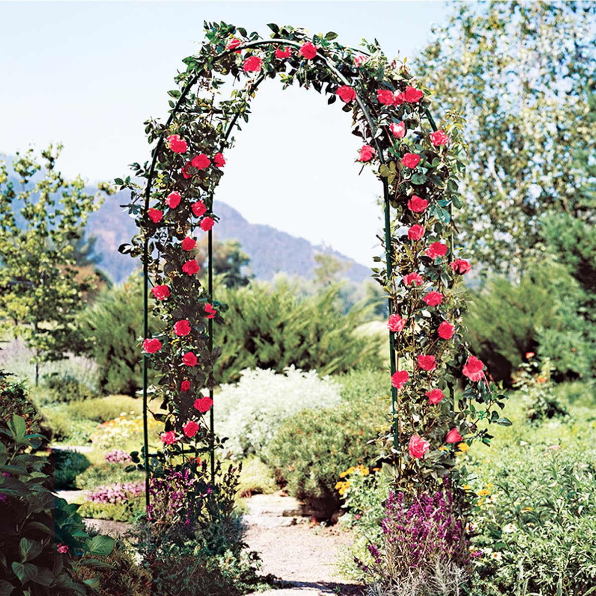 LeJoy Garden metal pergola arbor versatile dimensions for setup