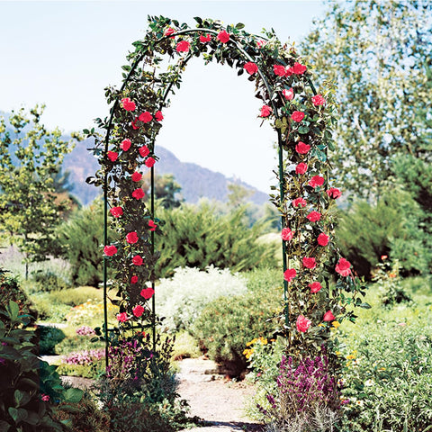 LeJoy Garden metal pergola arbor versatile dimensions for setup