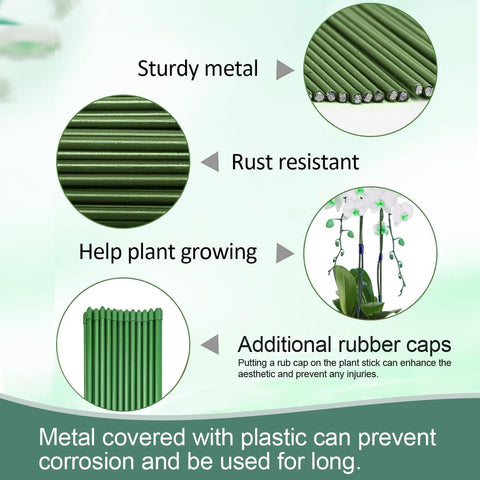LeJoy Garden plant stake clips included for secure growth.