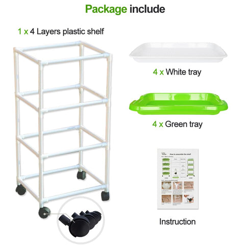 LeJoy Garden soil-free sprouting setup keeps greens clean and ready for salads.