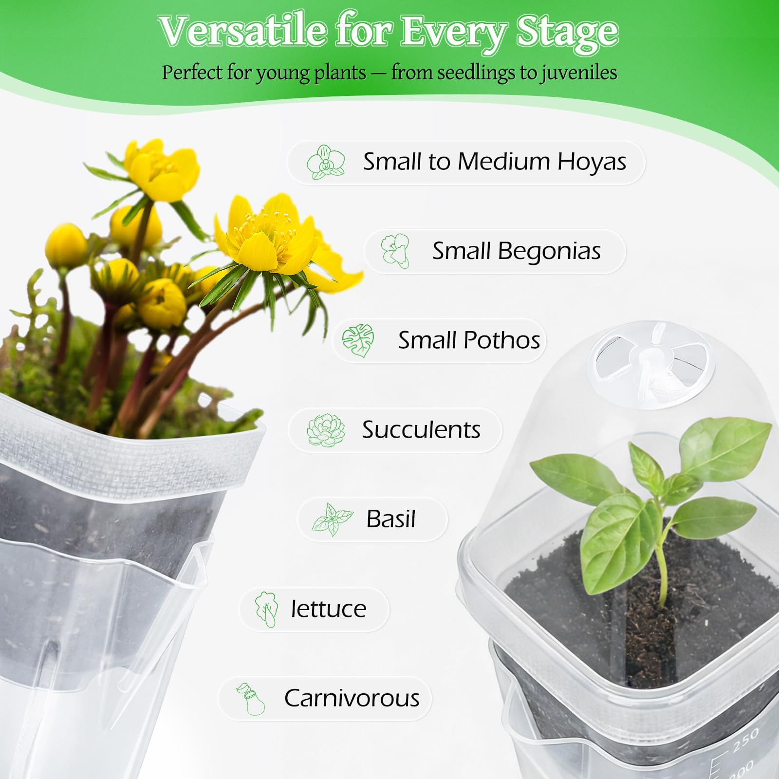 LEMEWEL self-watering wick system delivering water to roots.