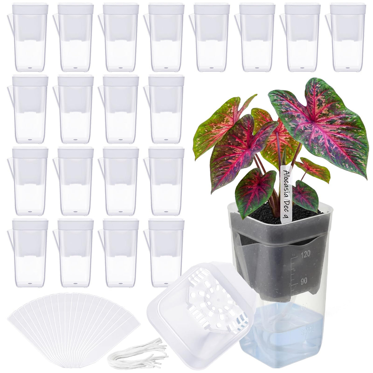 LemonRoad 20-pack self-watering pots with outer and inner view for root observation