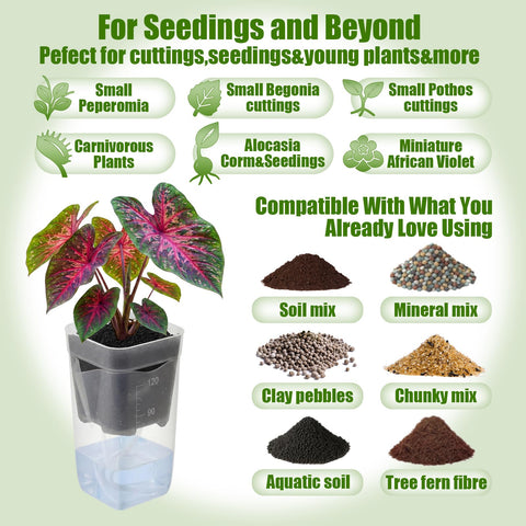 LemonRoad mini measuring cups included for accurate watering