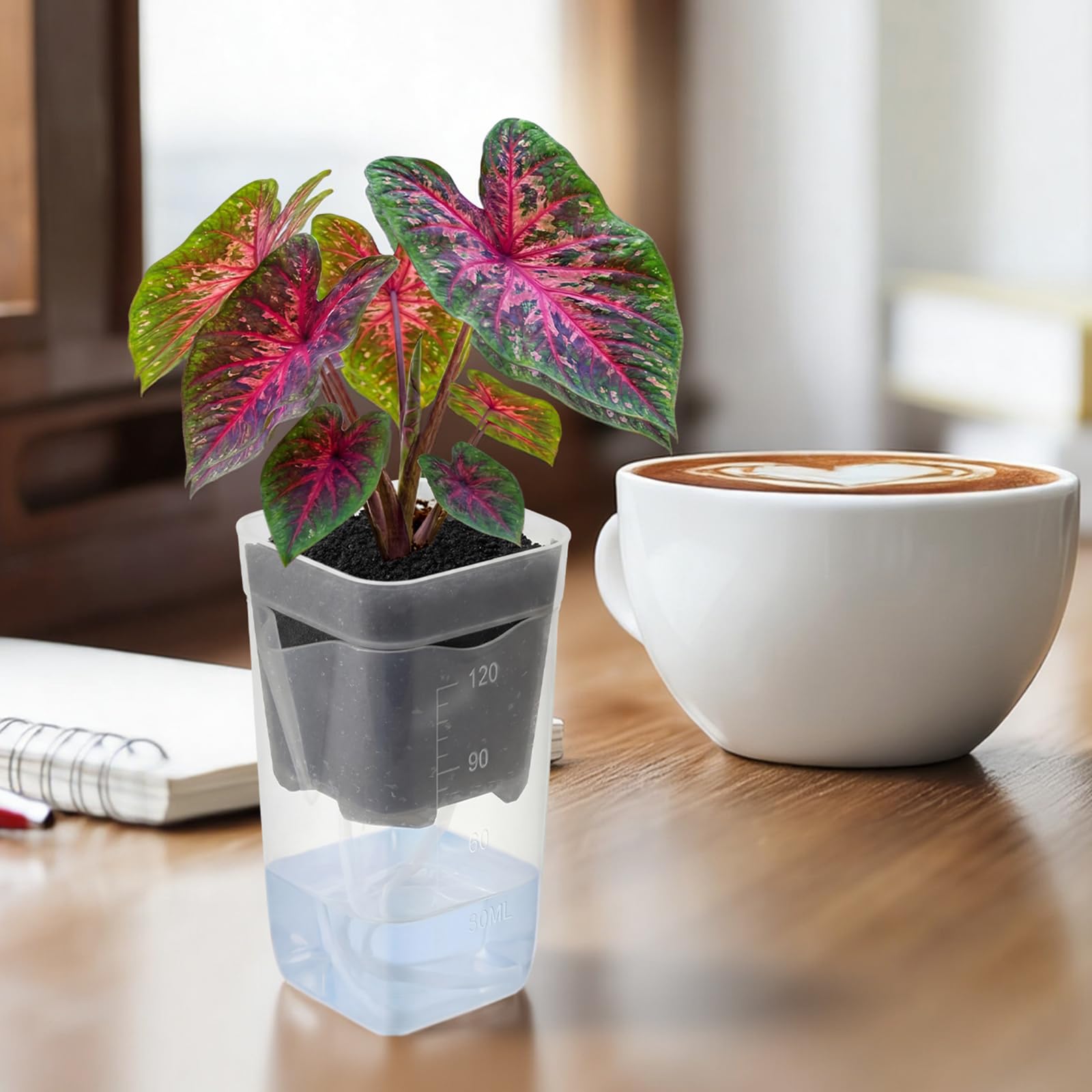 LemonRoad windowsill display idea with clear pots and labels