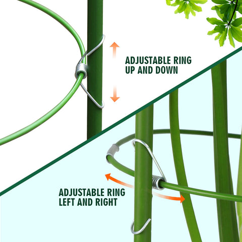 LEOBRO adjustable rings help climbing plants grow upright.