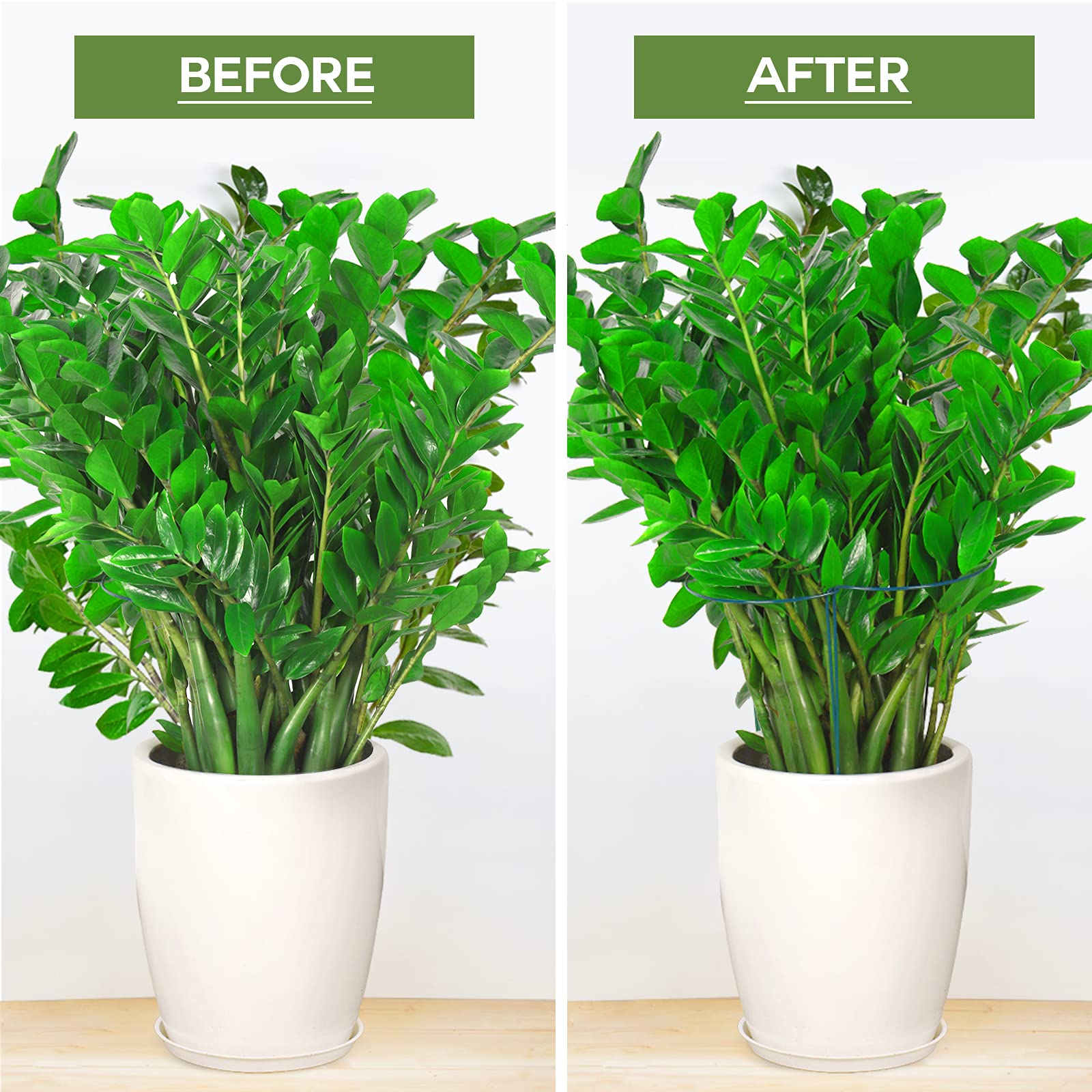 LEOBRO indoor plant stakes blend with greenery while offering strong support.