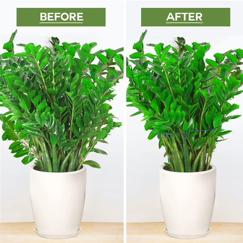 LEOBRO indoor plant stakes blend with greenery while offering strong support.