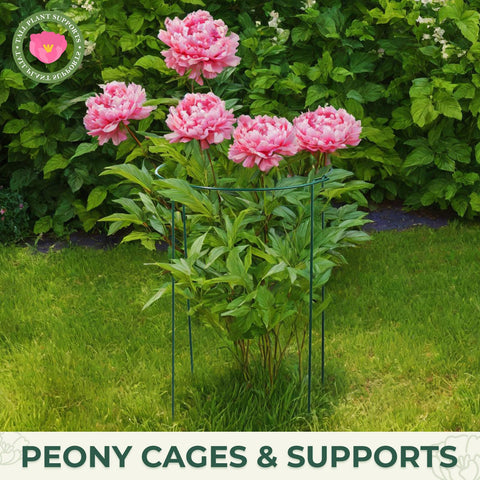 LEOBRO interlocking stakes allow customizable cages for lush plants