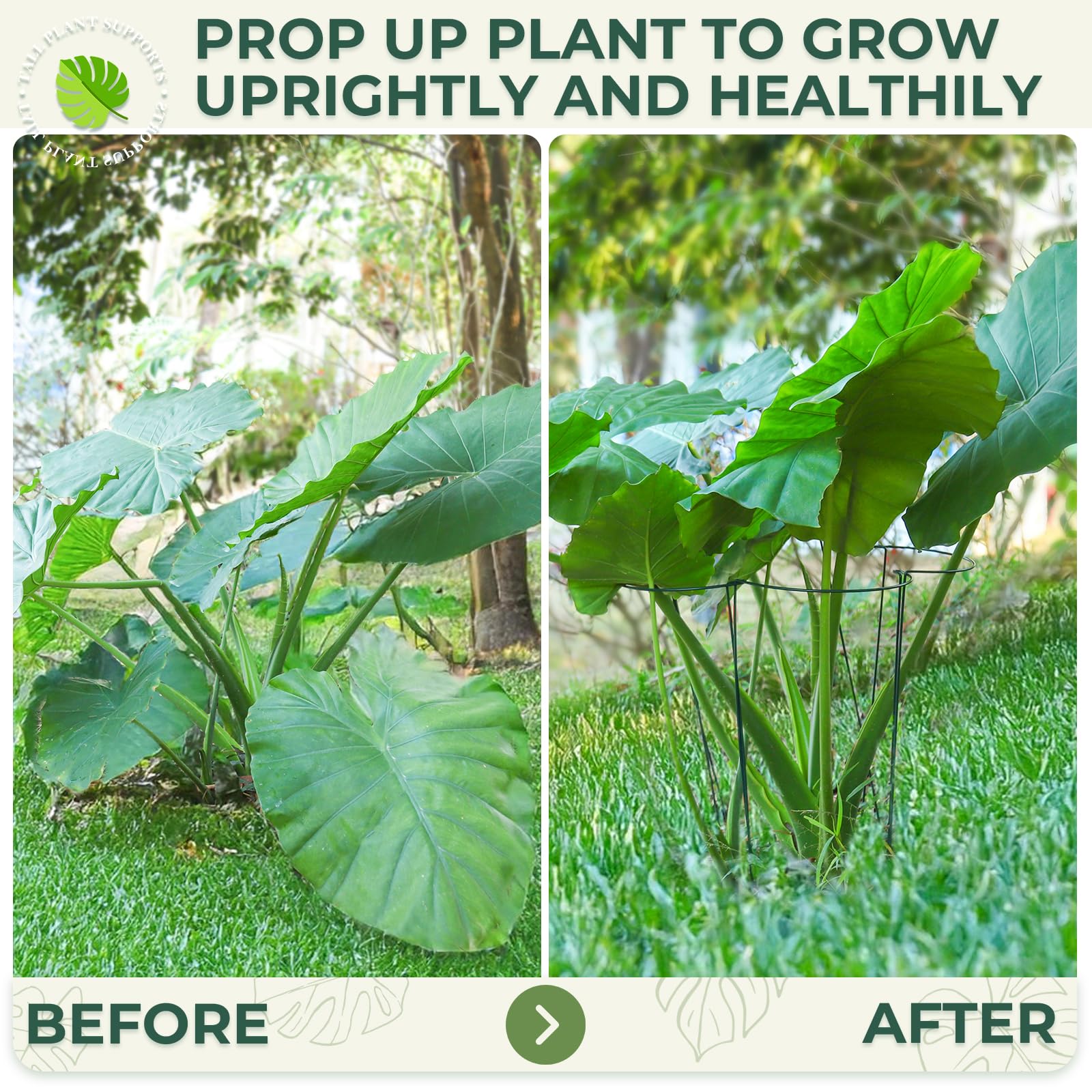 LEOBRO green-coated metal stakes blend with greenery while reinforcing stems