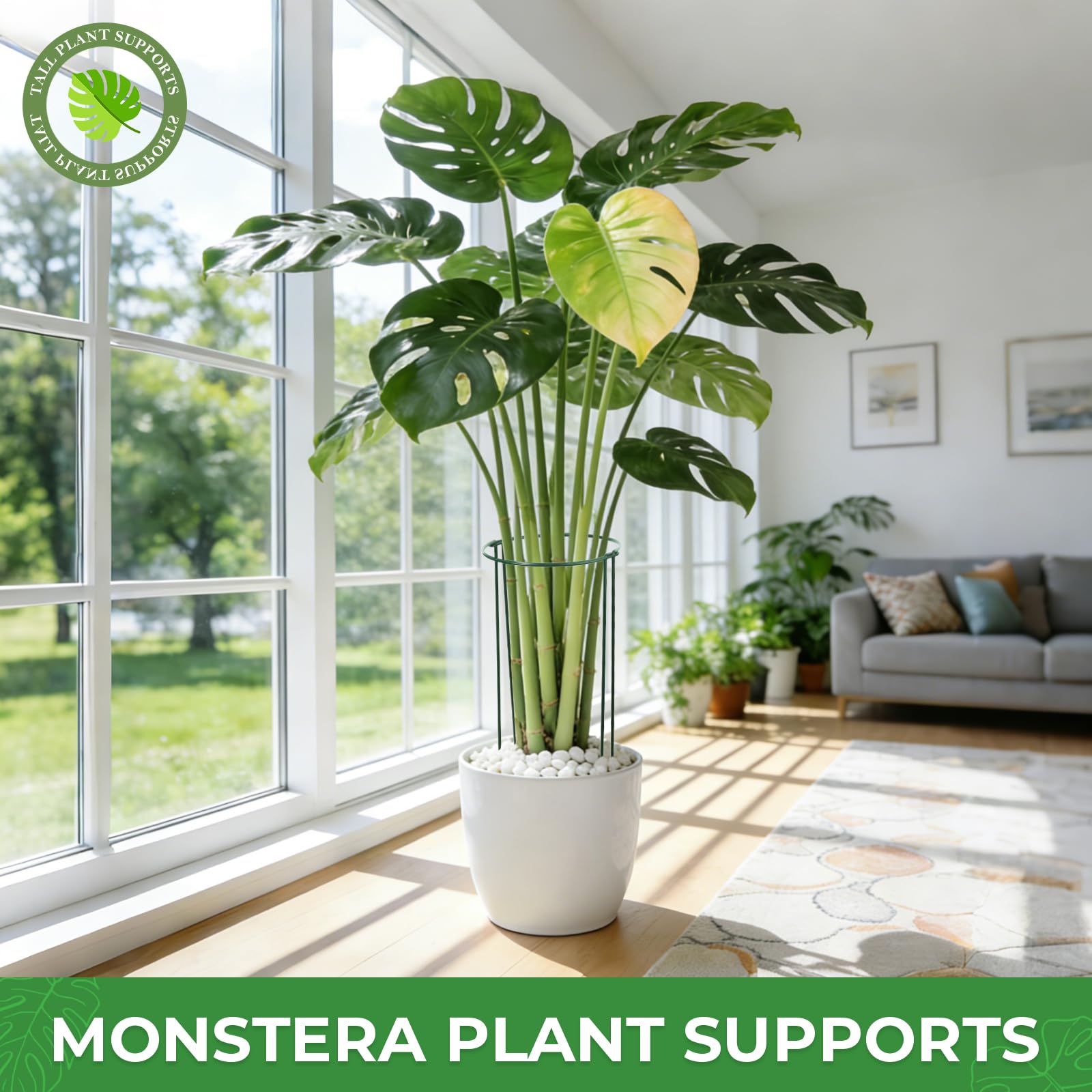 LEOBRO monstera stake 24-inch stabilizes climbing leaves
