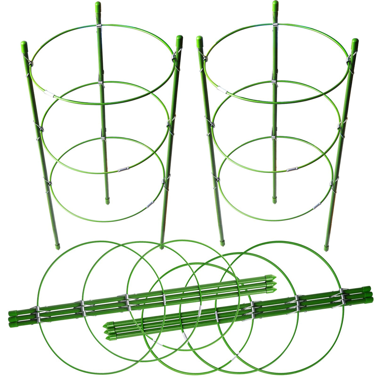 LEOBRO plant cages with adjustable rings support small tomato plants.