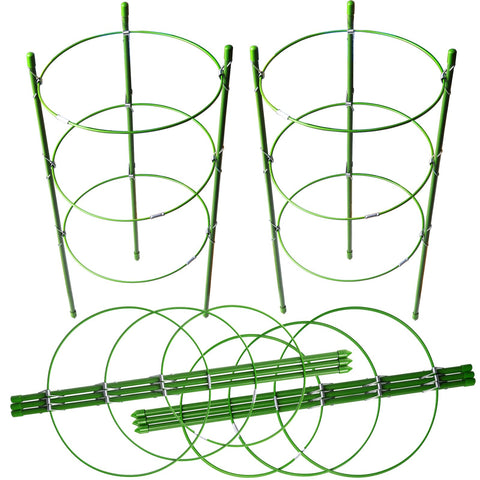 LEOBRO plant cages with adjustable rings support small tomato plants.