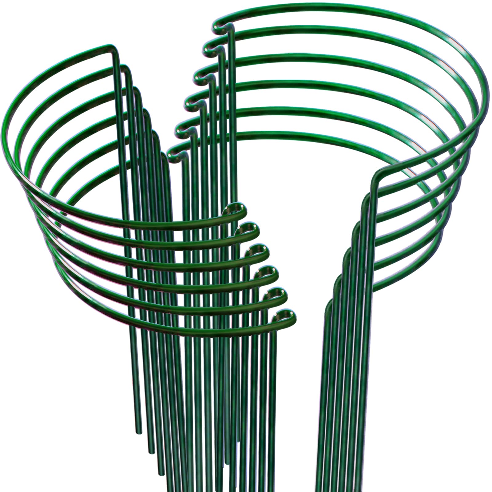 LEOBRO plant support ring keeps stems upright for indoor plants