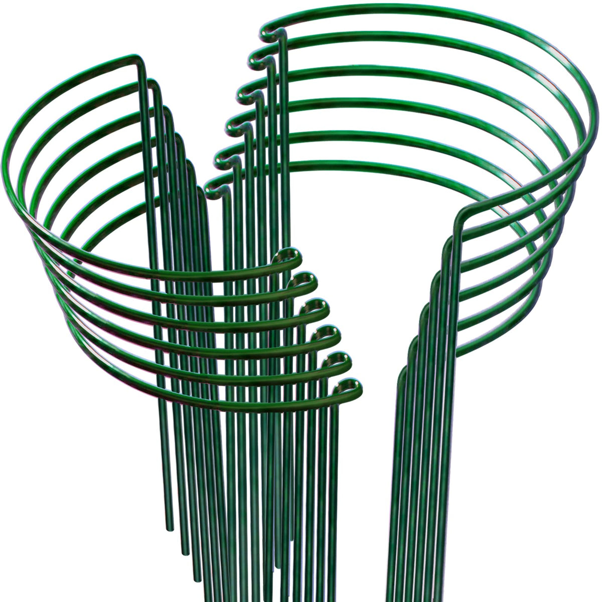 LEOBRO plant support ring keeps stems upright for indoor plants