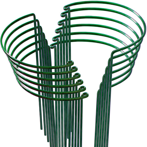 LEOBRO plant support ring keeps stems upright for indoor plants