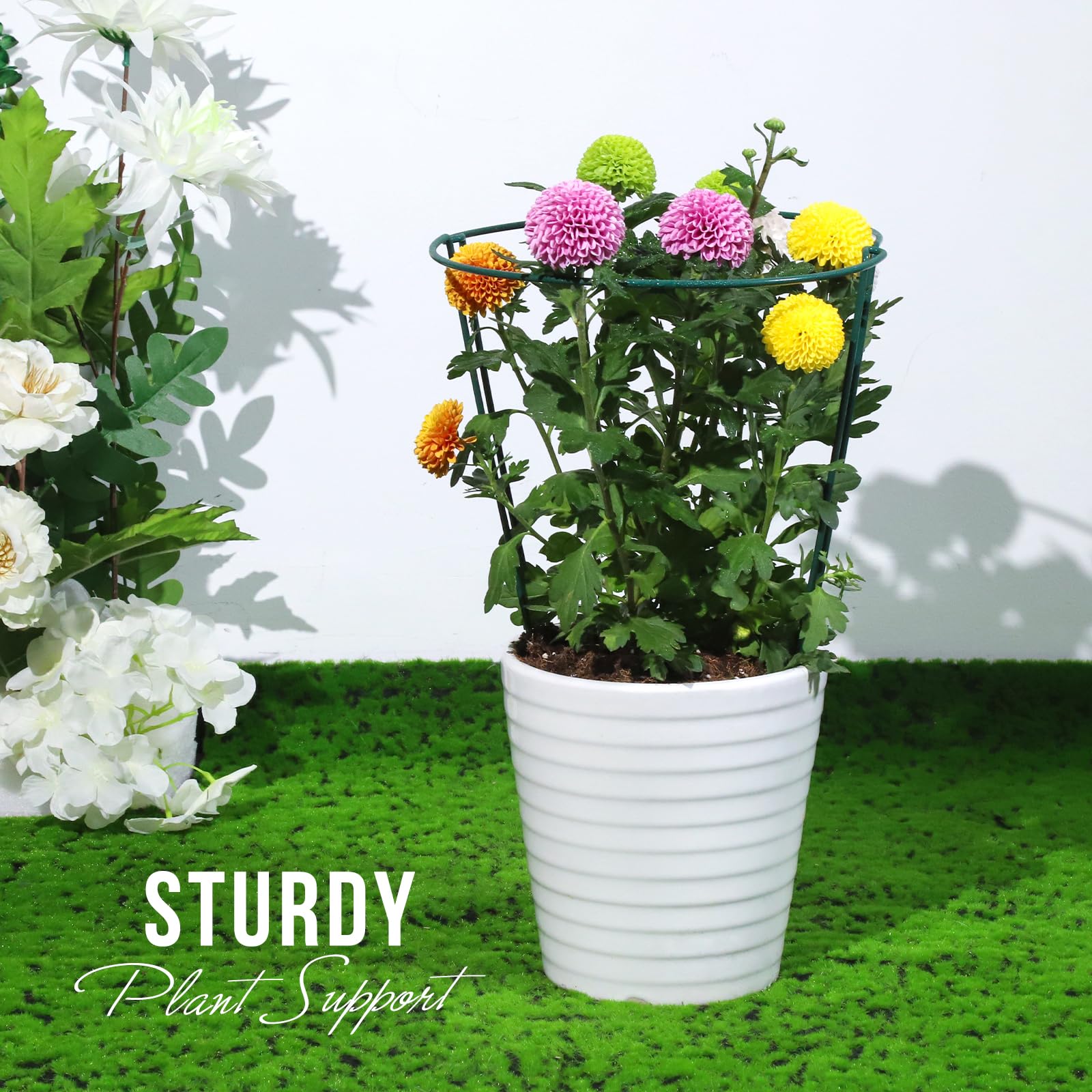 LEOBRO stakes protect blooms from wind and rain with a sturdy frame.