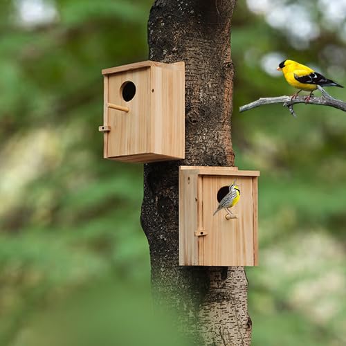 LEOSYY cedar birdhouse kit offers weather-resistant outdoor use