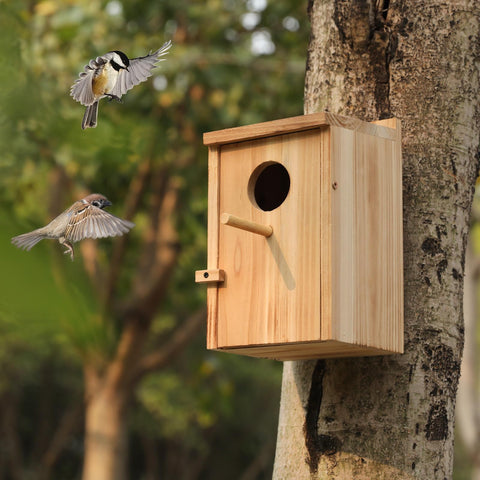 LEOSYY multi-bird friendly house supports bluebirds and chickadees