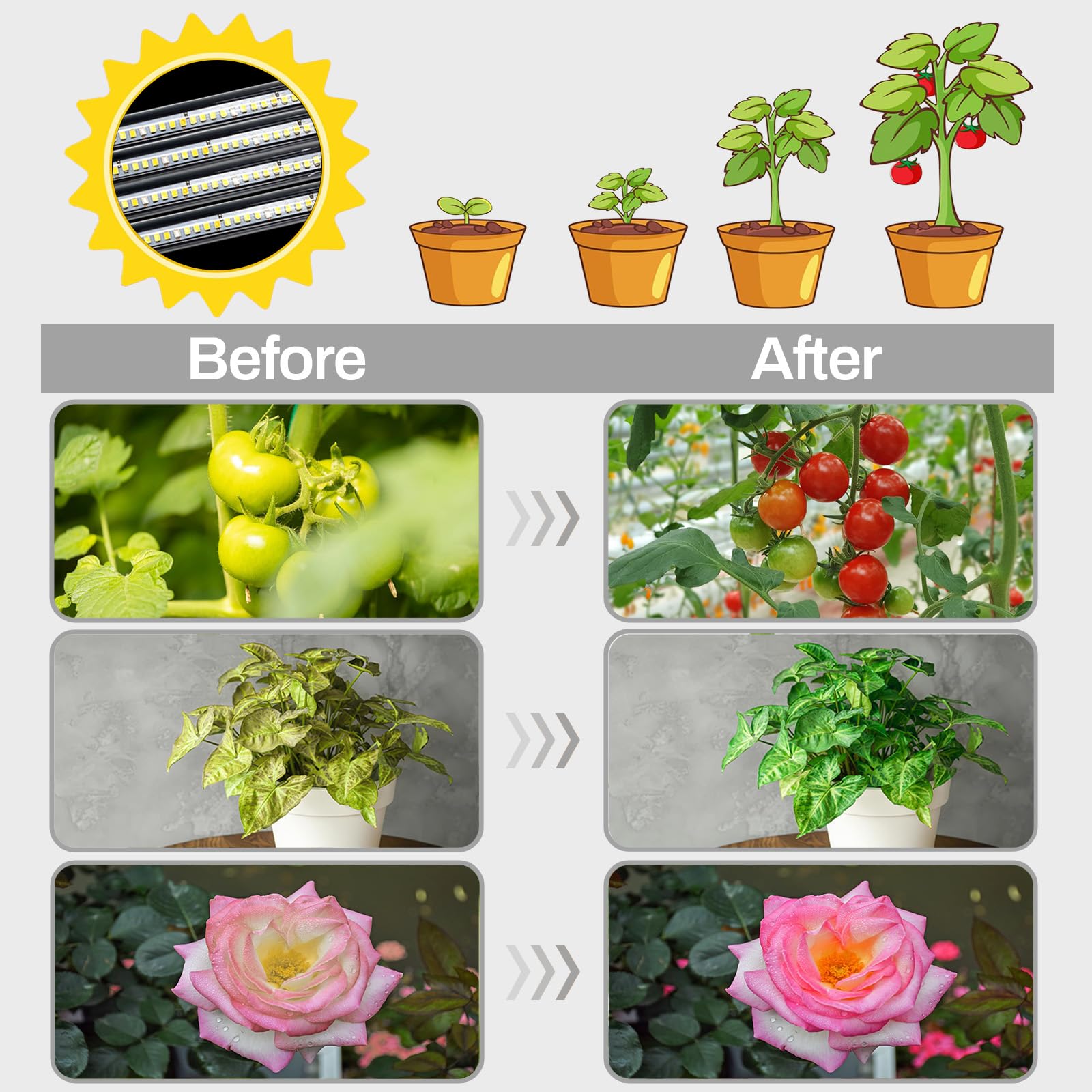 LEOTER auto timer for consistent plant lighting