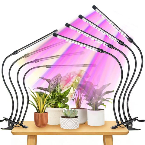 LEOTER full-spectrum LEDs close-up show red and blue channels for growth