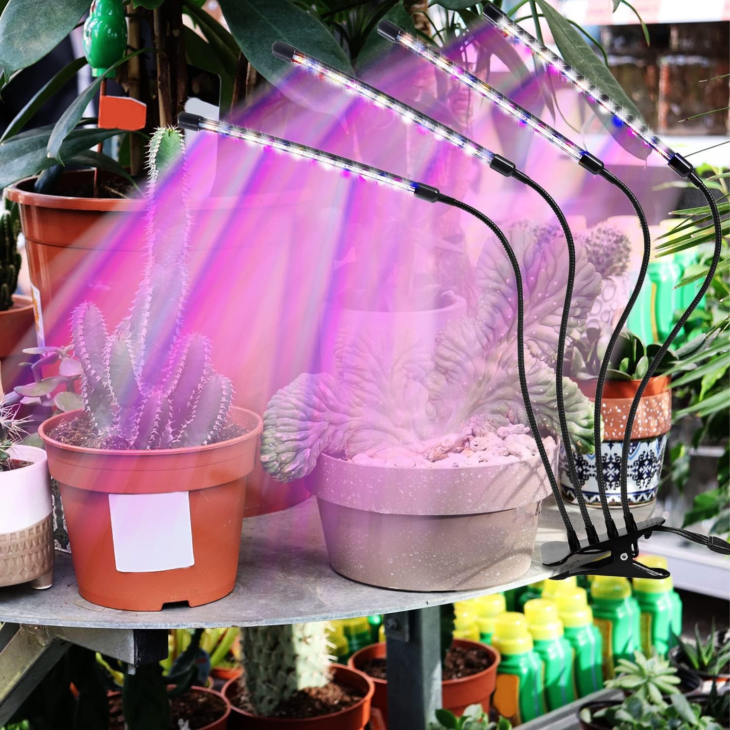 LEOTER grow light red-blue spectrum emission for flowering and fruiting potential.