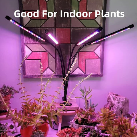 LEOTER seedling growth under grow light demonstrates early-stage development