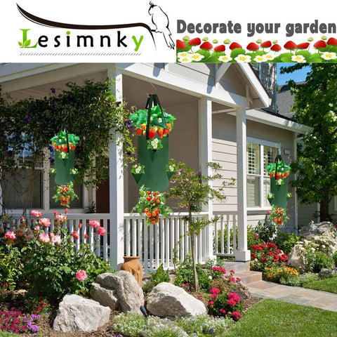 Lesimnky bottom hole supports inverted planting for better drainage.