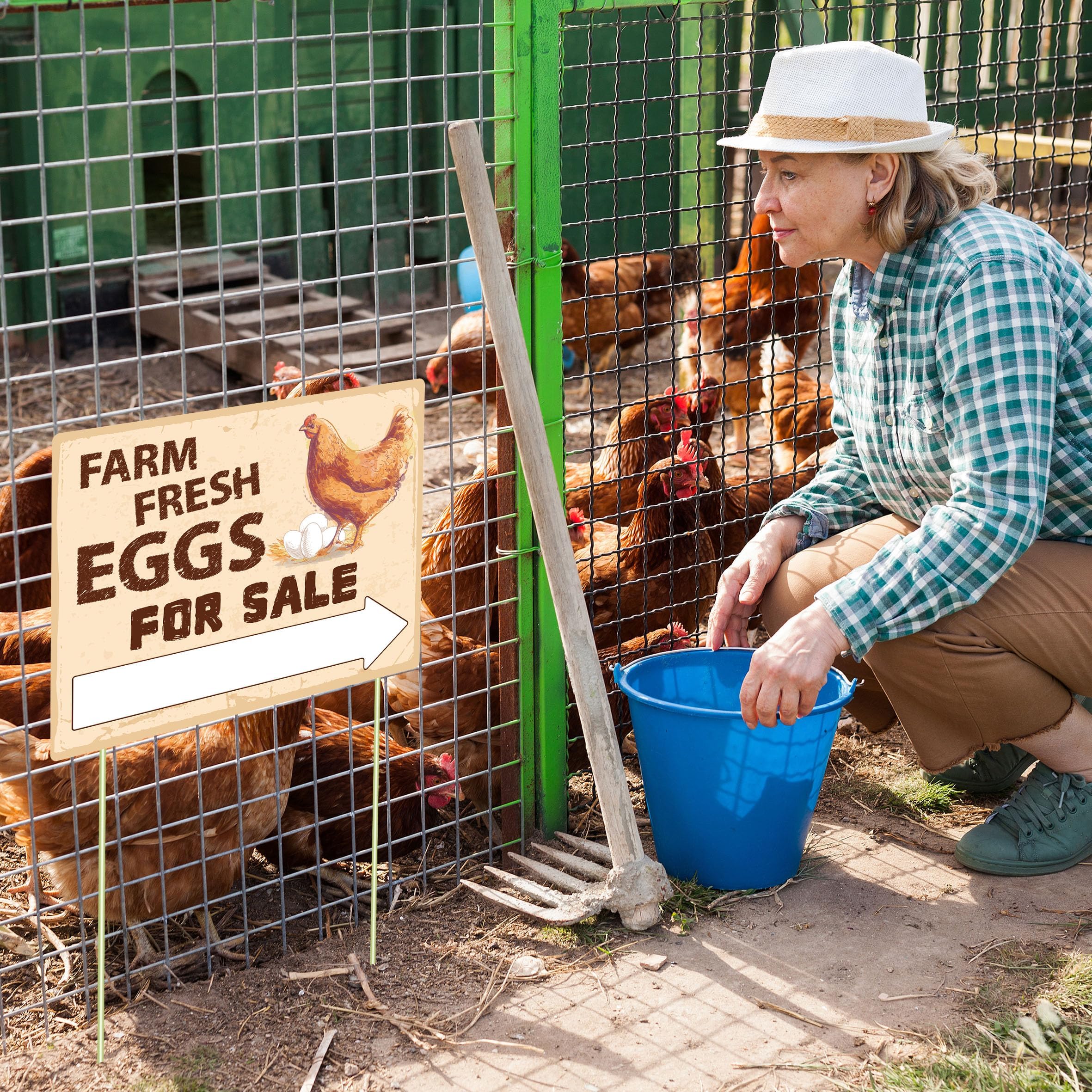 Lesnala farm fresh eggs sign printed on corrugated plastic withstands weather