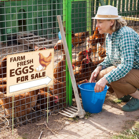 Lesnala farm fresh eggs sign printed on corrugated plastic withstands weather