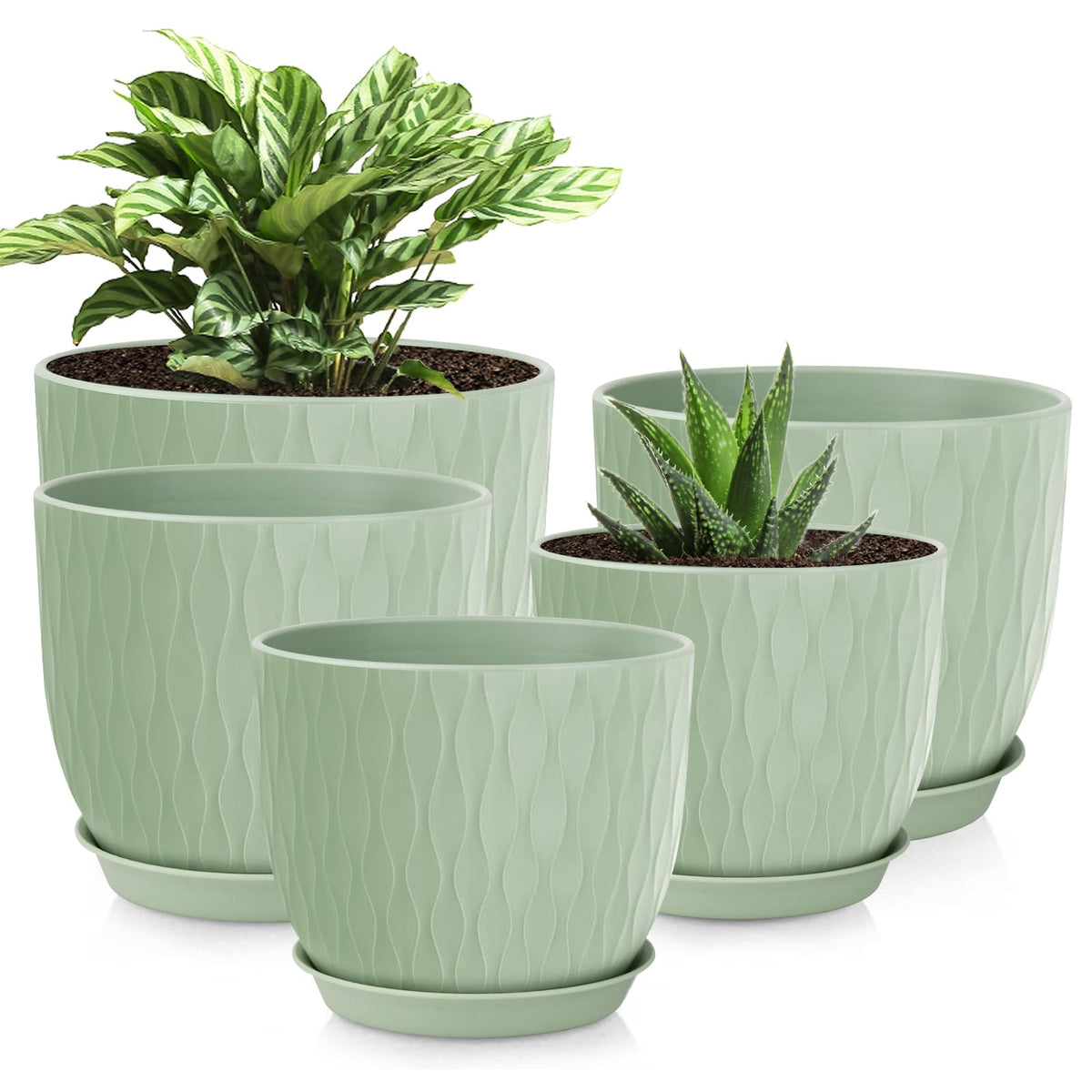 LESOASIS plant pot 10-inch ripple design, ideal for stylish indoor gardening.