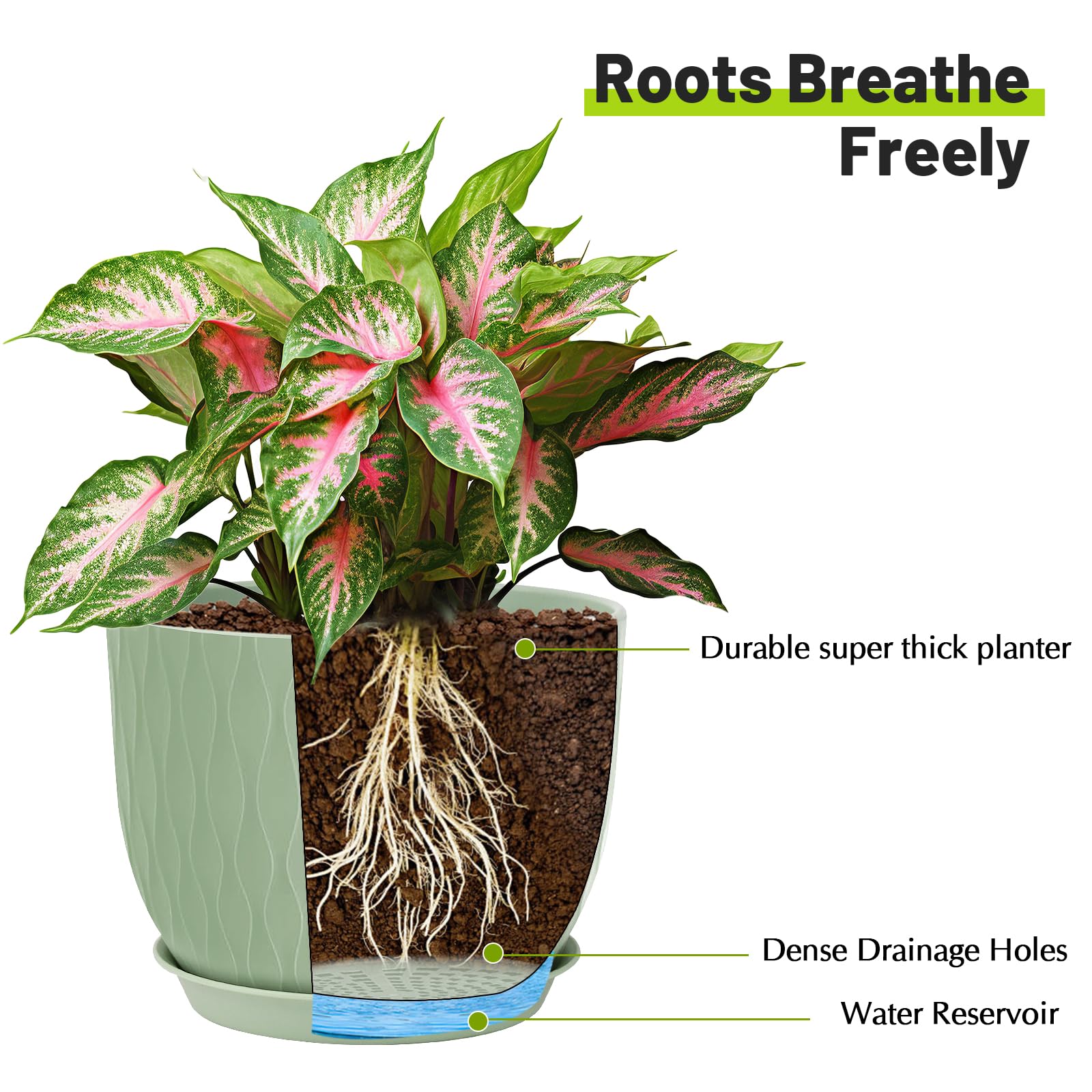 LESOASIS plant pot 7.5-inch ripple, versatile for mixed indoor gardens.