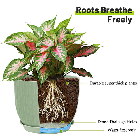 LESOASIS plant pot 7.5-inch ripple, versatile for mixed indoor gardens.