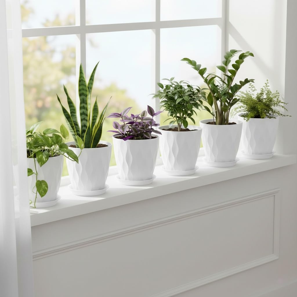 LESOASIS black 8-inch pot complements modern indoor furniture.