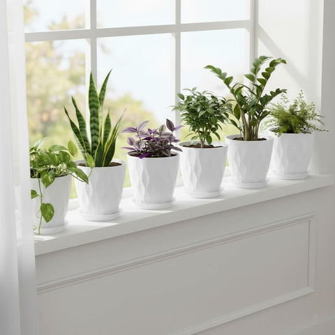 LESOASIS black 8-inch pot complements modern indoor furniture.