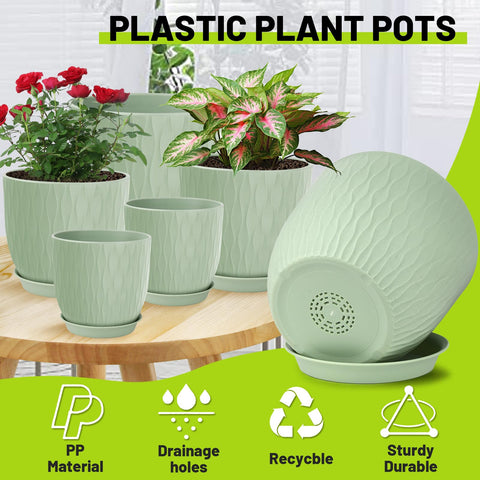 LESOASIS plant pot 8-inch ripple, great for succulents.