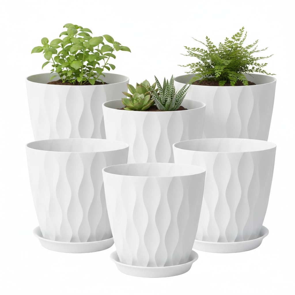 LESOASIS 8-inch white pot for a clean indoor display.