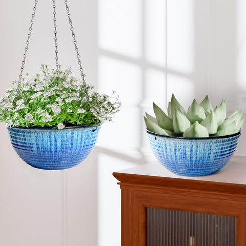 Lesoasis round pot supports succulents, ferns, and herbs with room to grow.