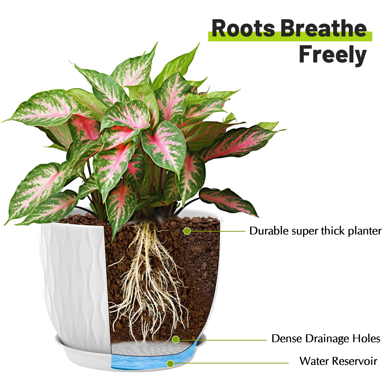 LESOASIS 7.5-inch drainage pot ideal for herbs and succulents