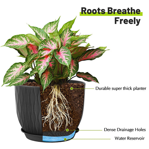 LESOASIS pot with drainage holes and saucer keeps surfaces clean and plants healthy.