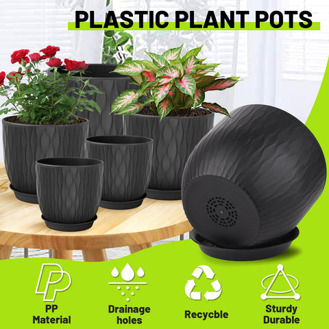 LESOASIS ripple-texture 8-inch pot perfect for succulents and indoor greenery.