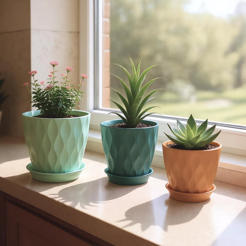 LESOASIS compact set ideal for gift-giving to plant lovers