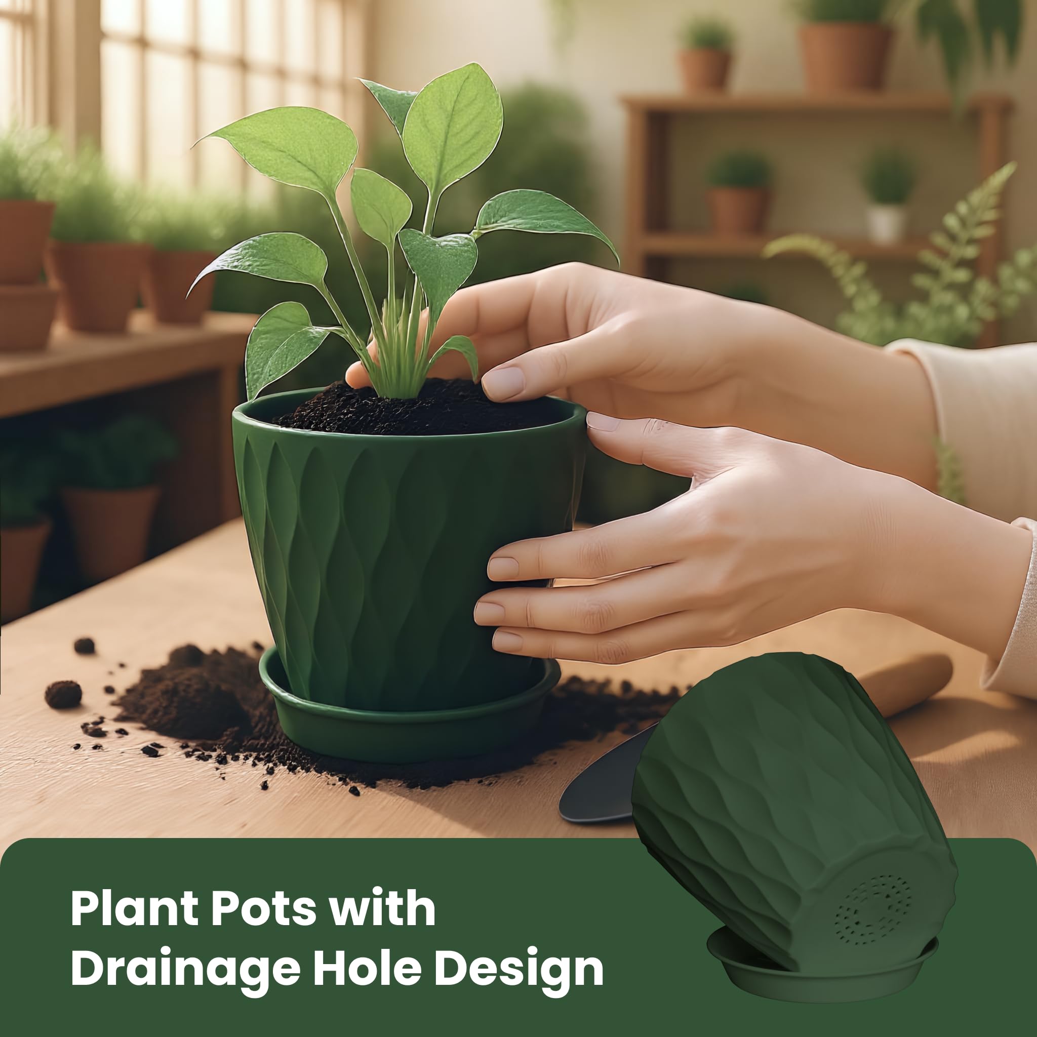 LESOASIS thick, sturdy polypropylene planters resist cracking during transplanting