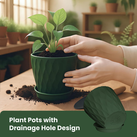 LESOASIS thick, sturdy polypropylene planters resist cracking during transplanting