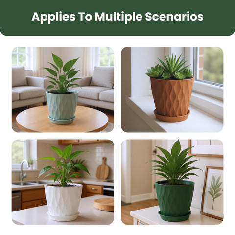 LESOASIS varied sizes fit herbs, succulents, and small flowering plants